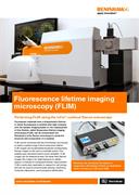 Fluorescence lifetime imaging microscopy (FLIM)